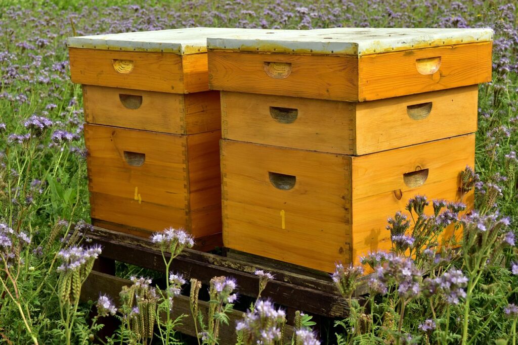 beehive 3703434 1280